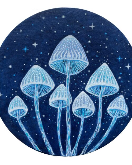 Magical Mushroom Mini